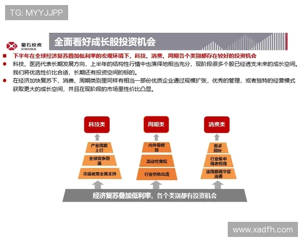 体育旅游市场中明星粉丝团的组织架构赛